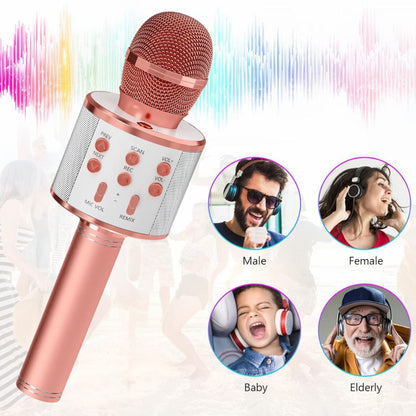 G-1331 Wireless Microphone Hifi Speaker 5W